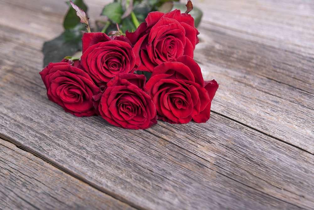 Red Roses on a Wooden Floor
