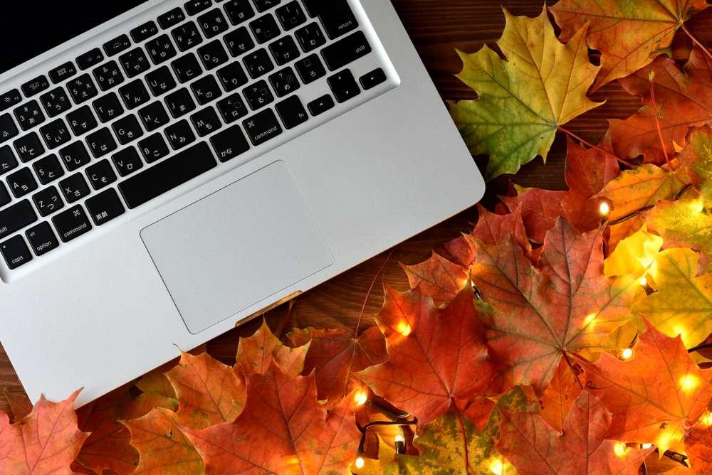 Laptop Amongst Fall Leaves