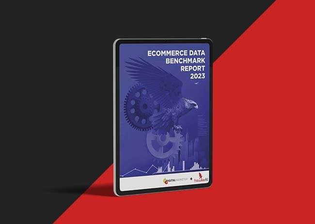 Ecommerce Marketing Benchmarking Report 2023 from HawkeAI