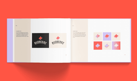 Budberry brand guides