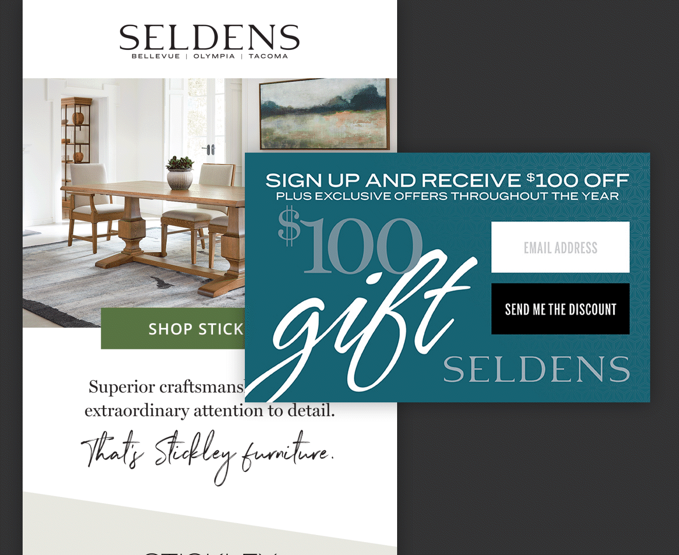 Seldens Black Friday campaign