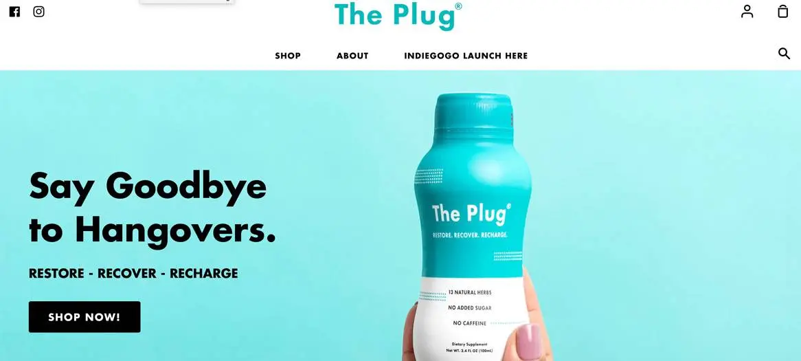 The Plug web design