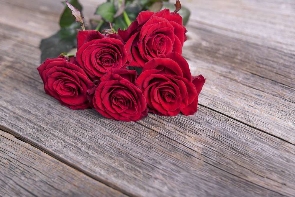 Red Roses on a Wooden Floor