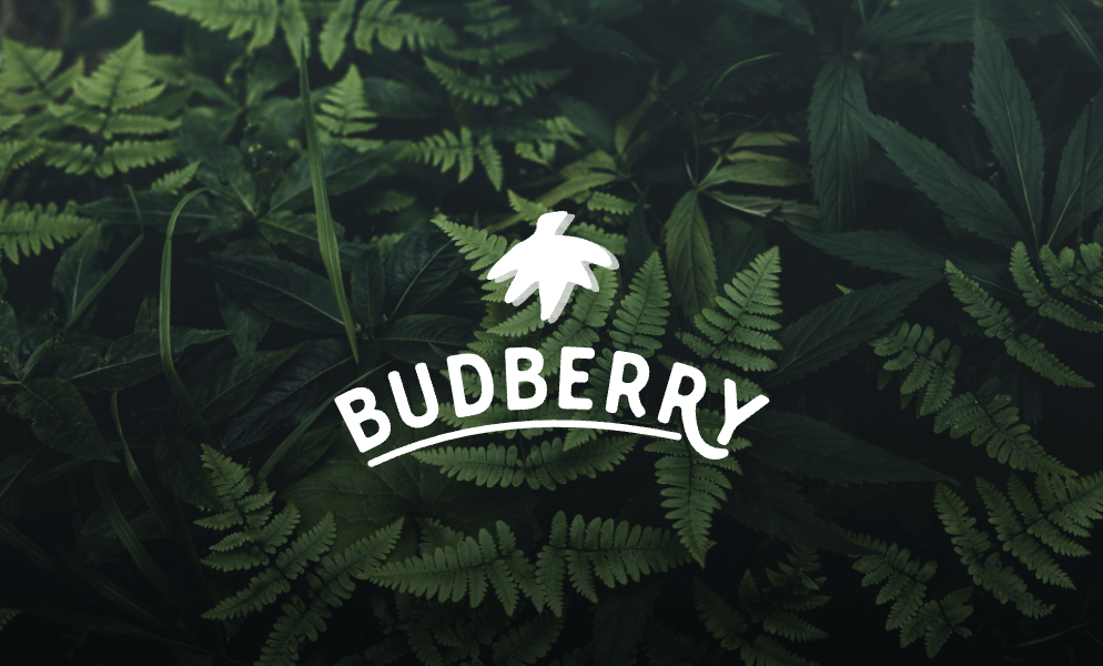 Budberry