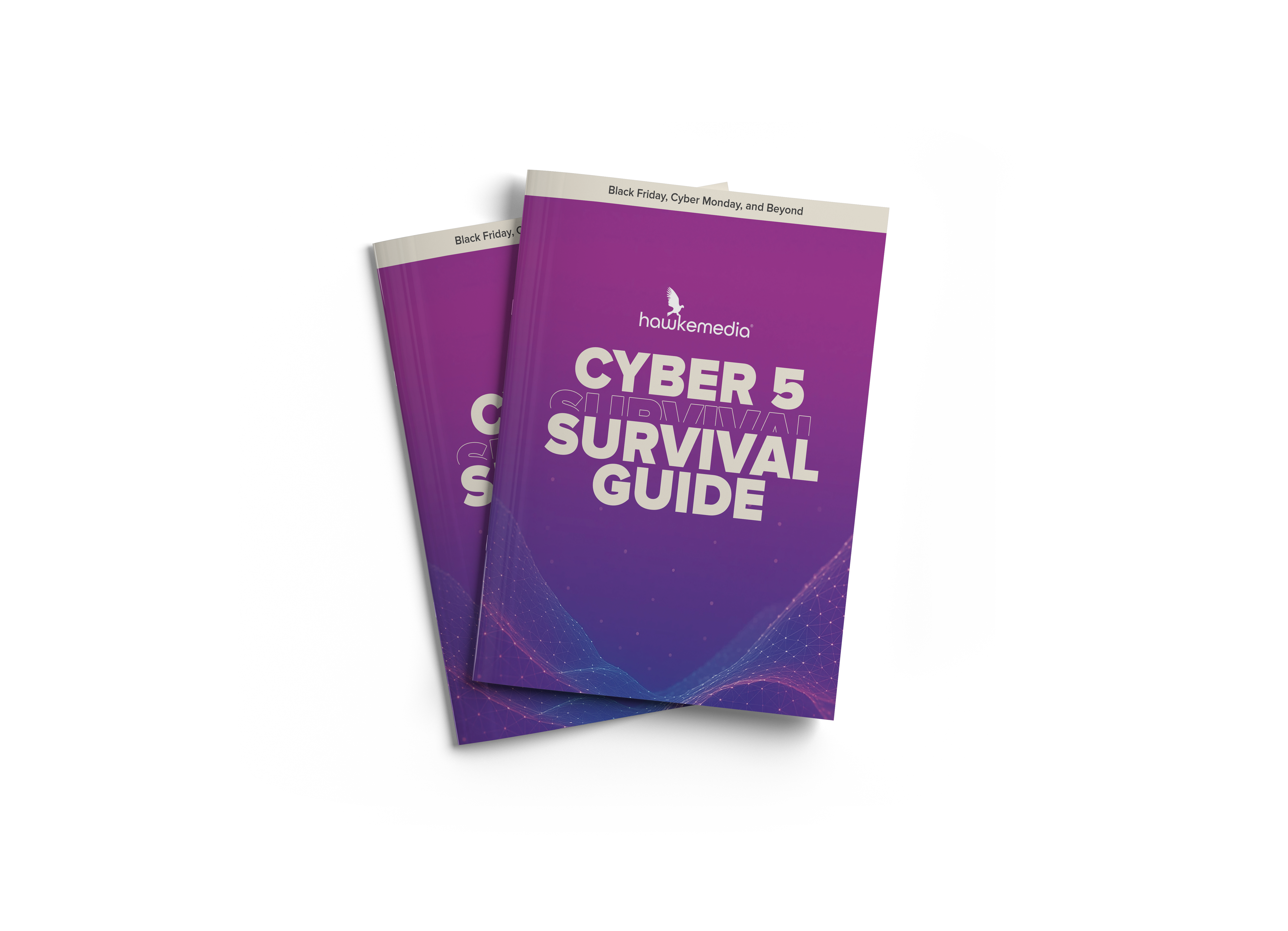 Cyber 5 Survival Guide Cover